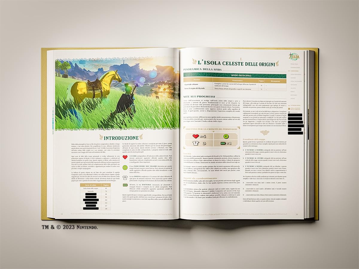 The Legend Of Zelda: Tears Of The Kingdom Guida Standard