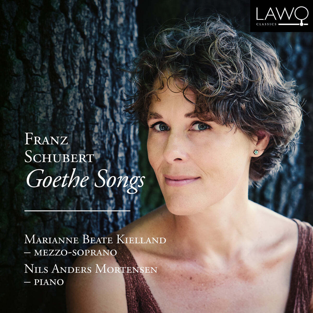 Franz Schubert: Goethe Songs