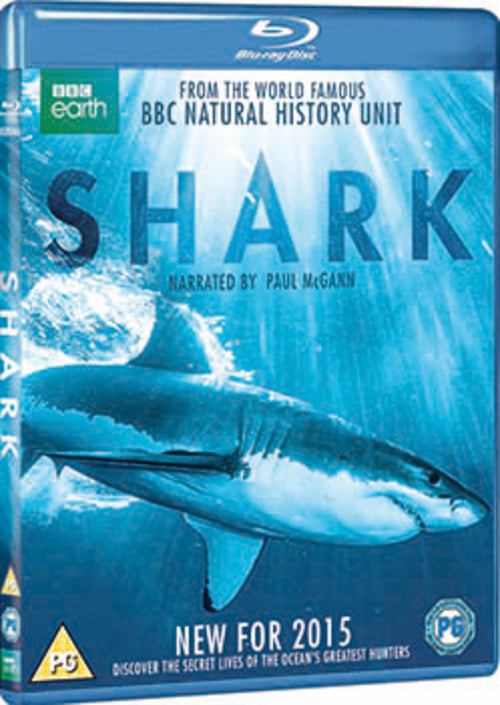 Shark
