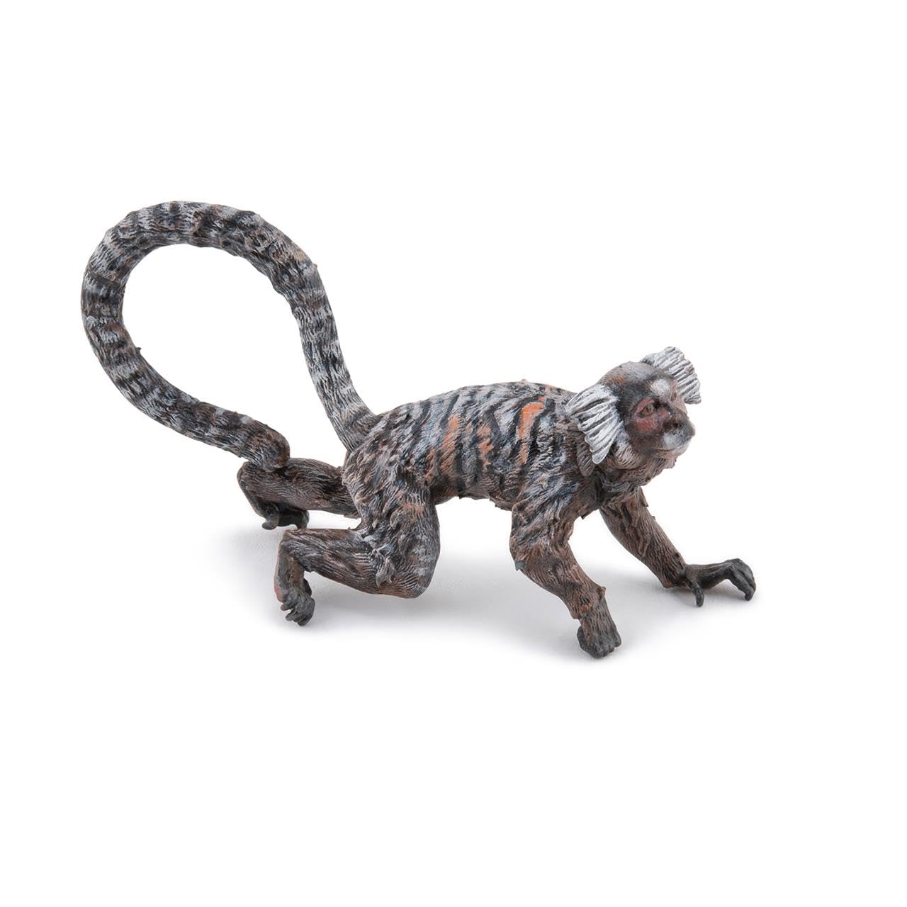 PAPO - Hand-Painted Figurine - Marmoset - Tropical Forest Animals - Collectible - for Children - Boys and Girls - Ages 3 and Up