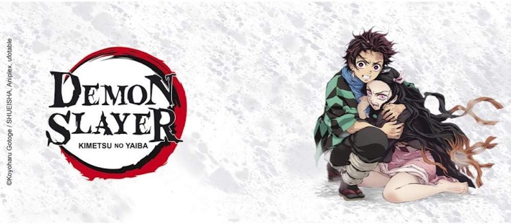 ABYstyle Demon Slayer Tanjiro & Nezuko Mug