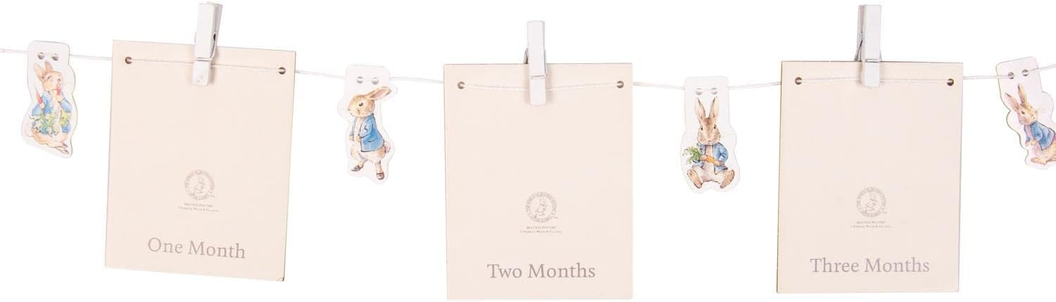 Peter Rabbit Photo Banner. Includes 12 Picture Cards, Peter Rabbit Character Hooks & 1 card for each of first 12 months. Officially Licensed Peter Rabbit Merchandise.