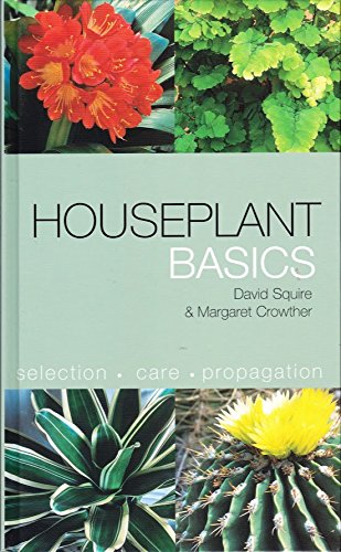 Houseplant Basics