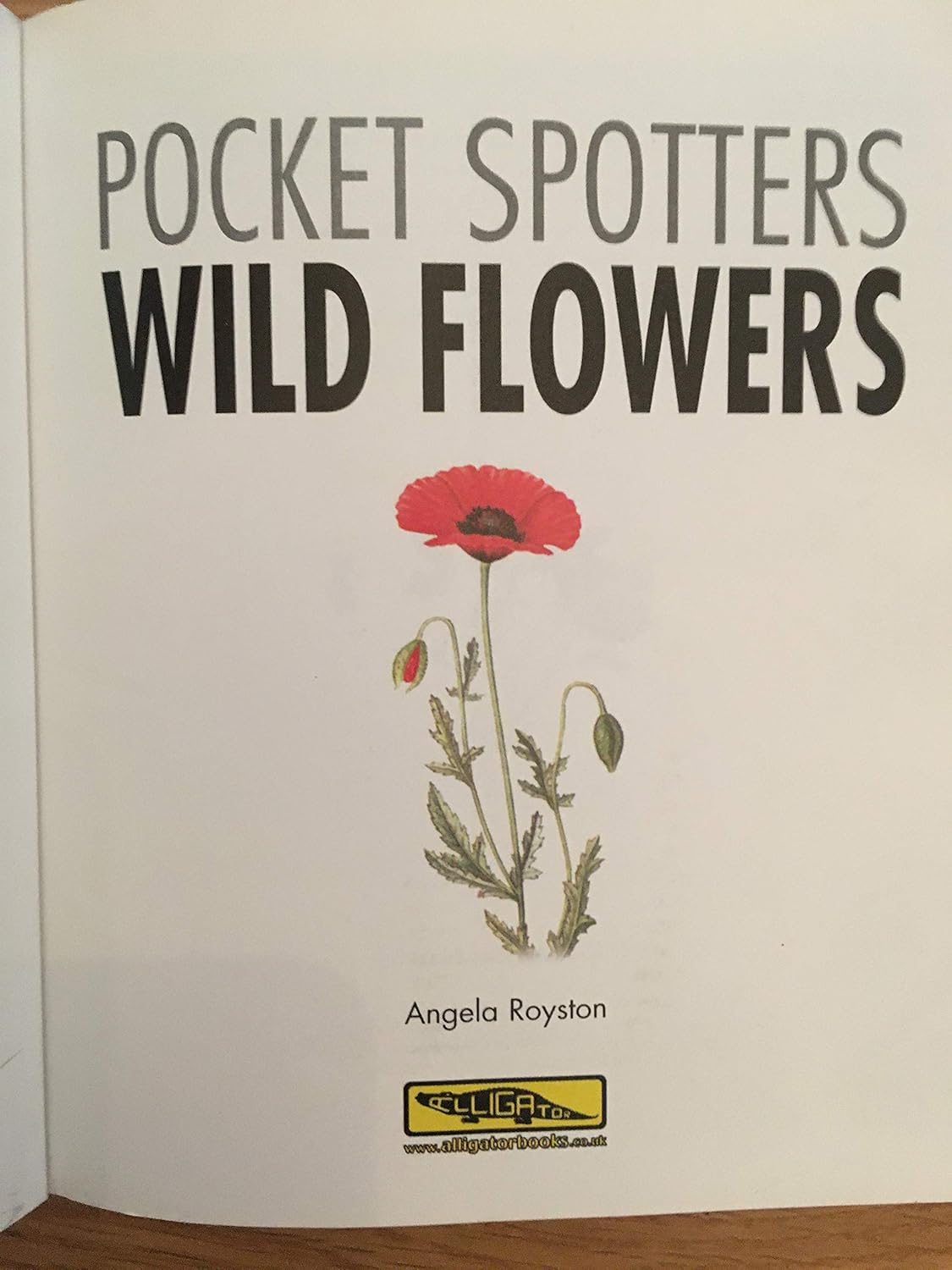 Wild Flowers