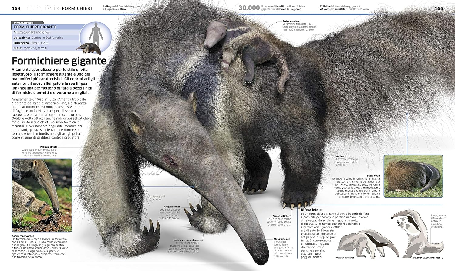 La grande enciclopedia degli animali