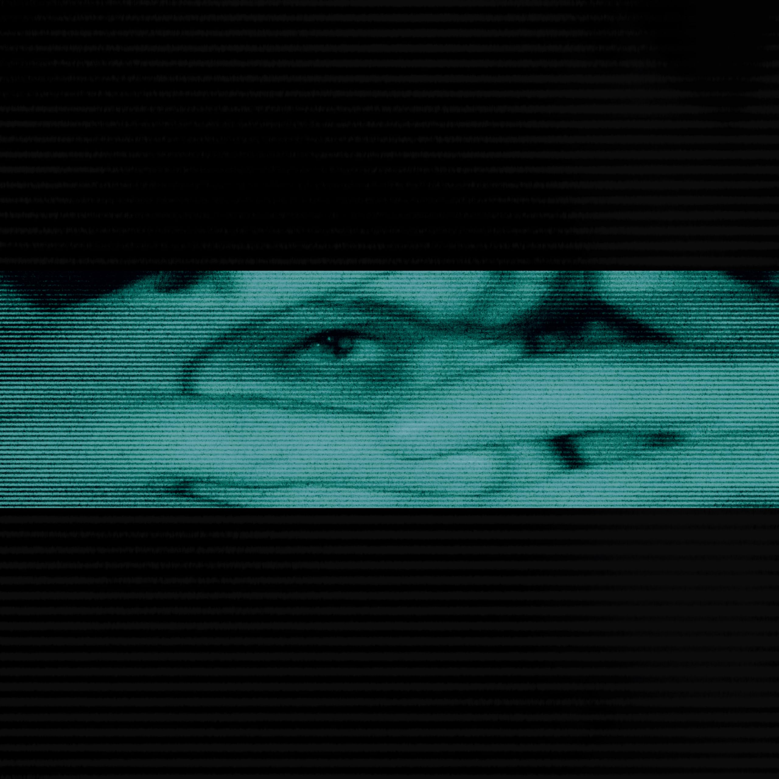THROUGH BLINDS