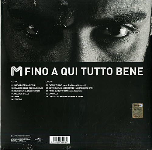 Fino A Qui Tutto Bene