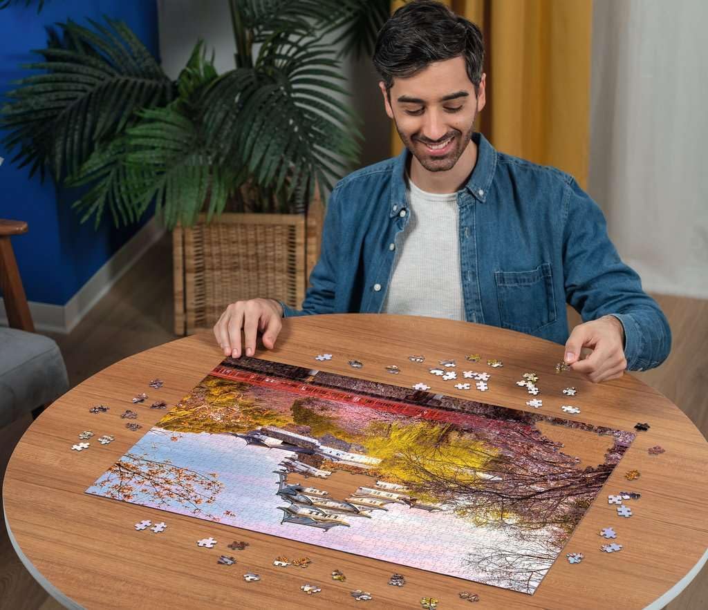 Ravensburger - Jigsaw Puzzle 1000 Pieces Beautiful Castles Himeji Japan | Puzzle 1000 Pieces Landscapes with a Size of 70 x 50 cm | Gift for Adults and Children from 14 Years and Over