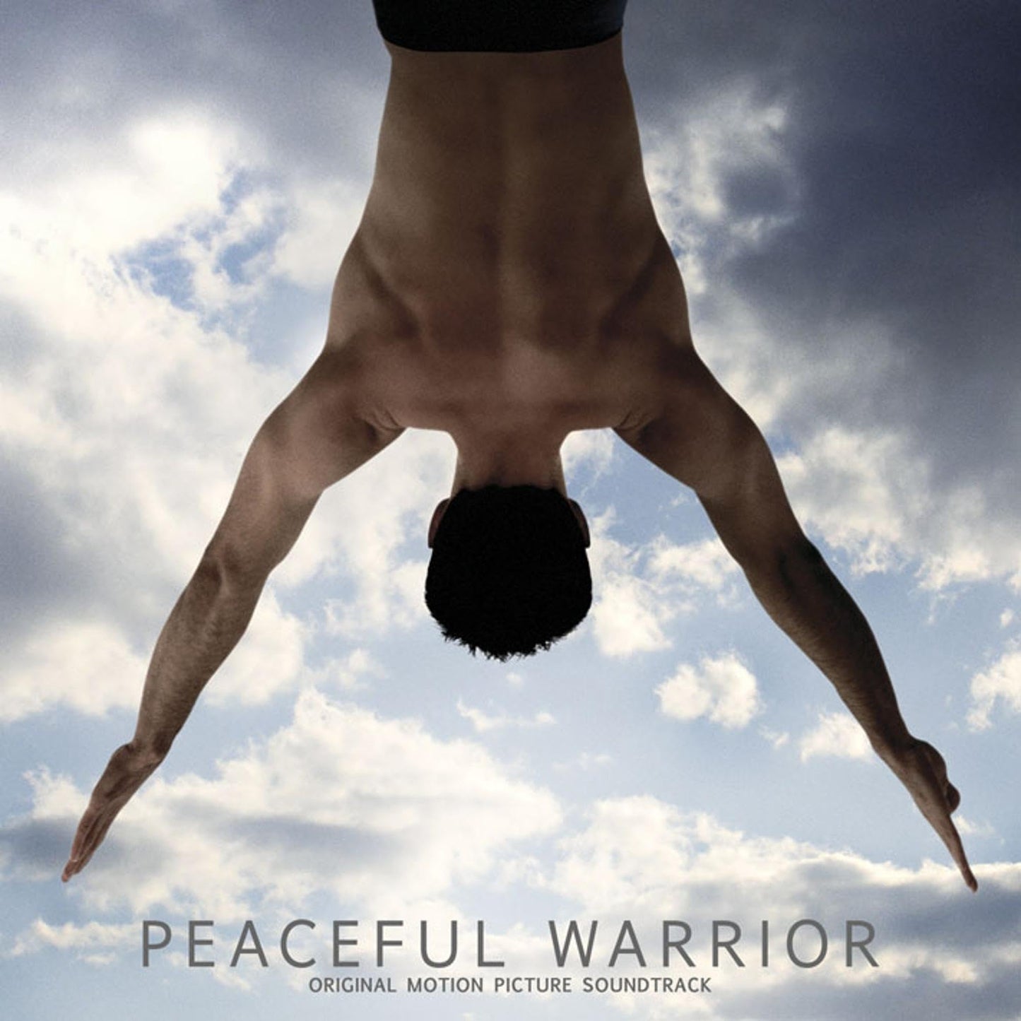 Peaceful Warrior (Original