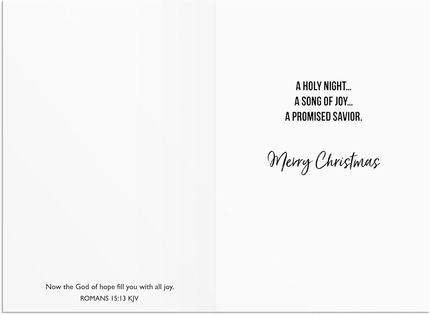 DaySpring - Thrill of Hope Good Steward Christmas Cards - 18 Christmas Boxed Cards with White Envelopes, KJV (J6343