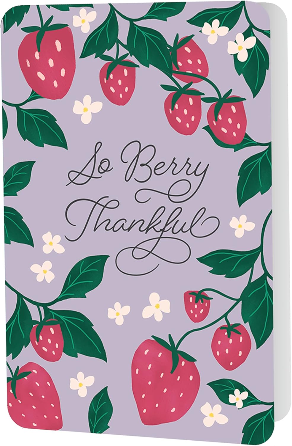 Bella Paper Thanks A Pun Assorted Thank You Note Card Set - Pack of 12-3.5" x 5.25" Printed Textured Art Paper, 3 Punny Designs, Cards with Bible verses inside, Matching Stickers and Envelopes