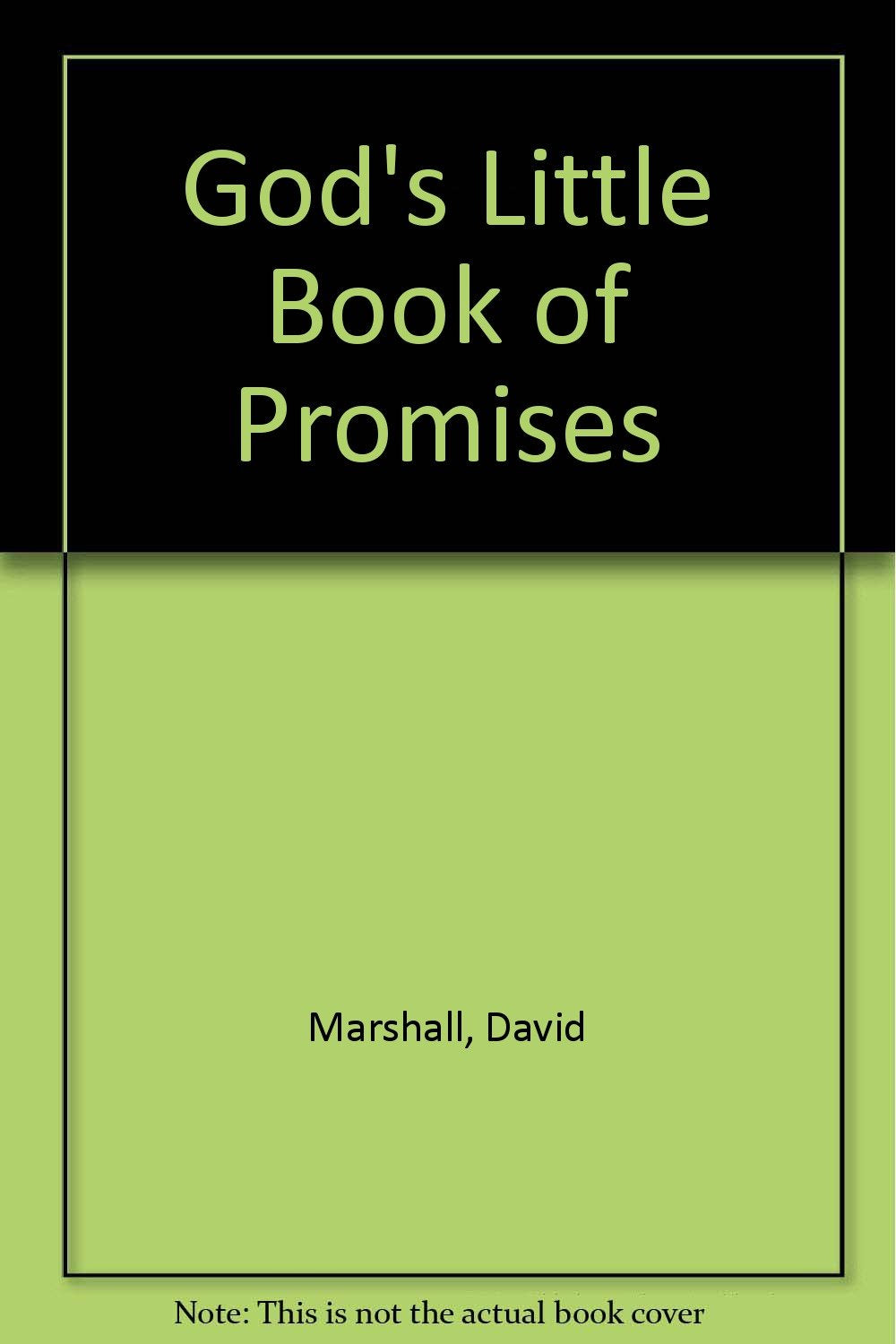 God`s Little Book Of Promises