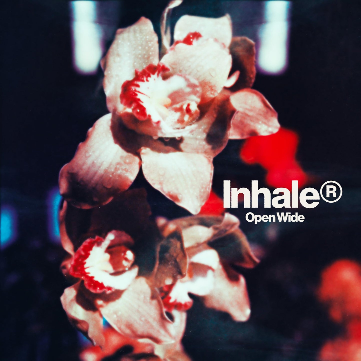 Open Wide - Limited Clear