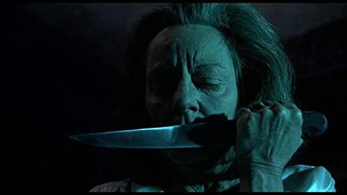 Fanatic – Combo DVD + Blu-Ray + Livret Import aus Frankreich