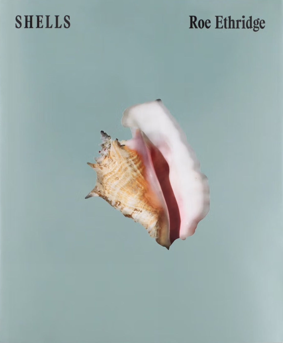 SHELLS