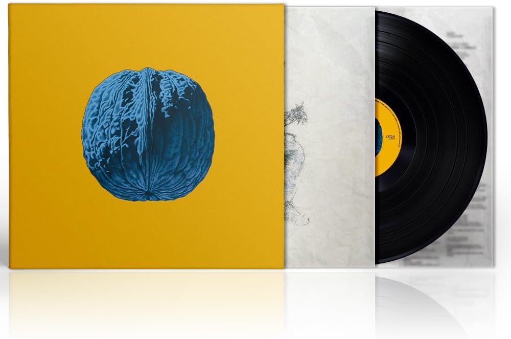 L’albero delle noci (Vinile