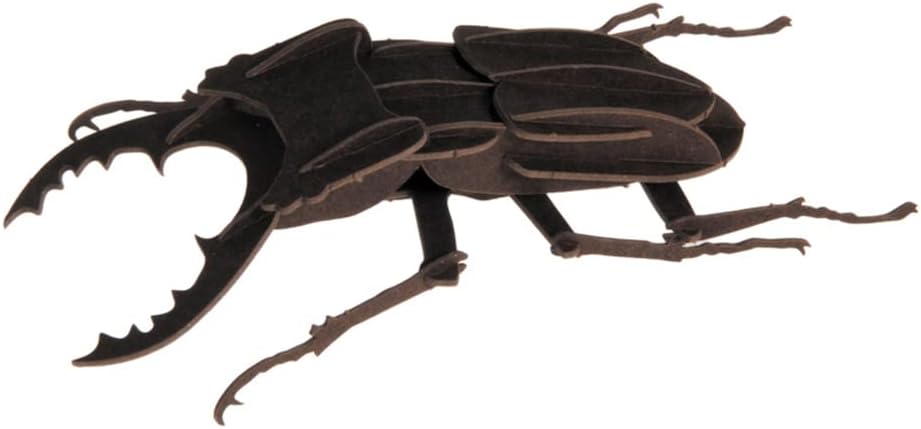 3D Paper Model Beetle