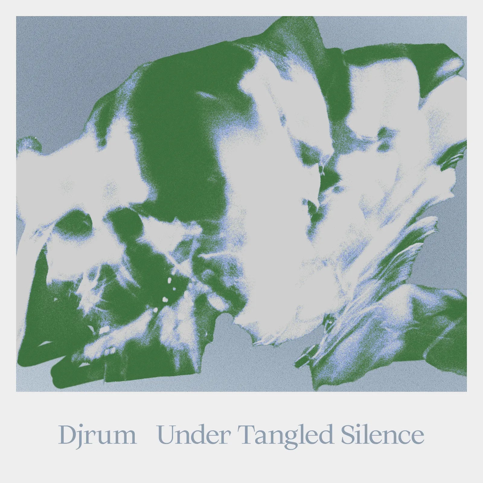 Under Tangled Silence
