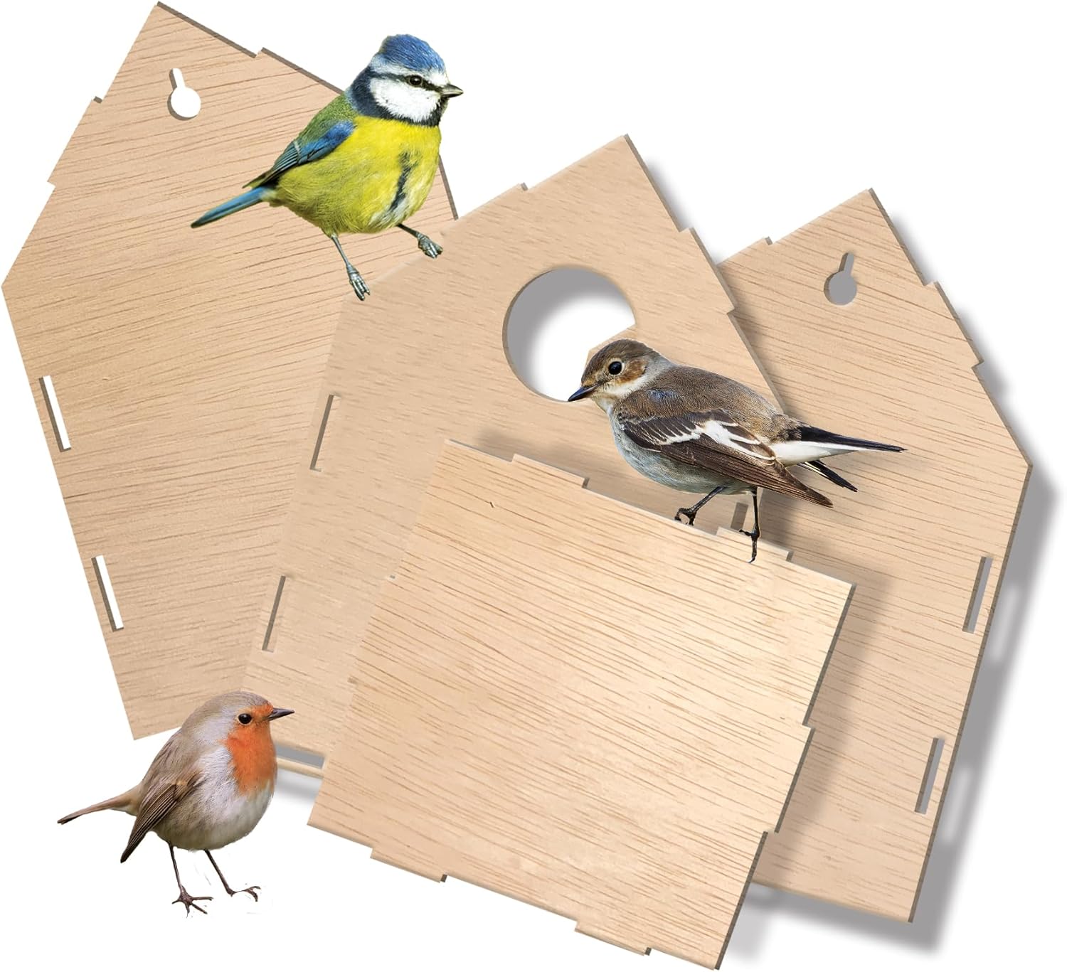 SES Creative 25209 Build Your Own Birdhouse - Craft and Decorate Your Birdhouse - Craft Kit