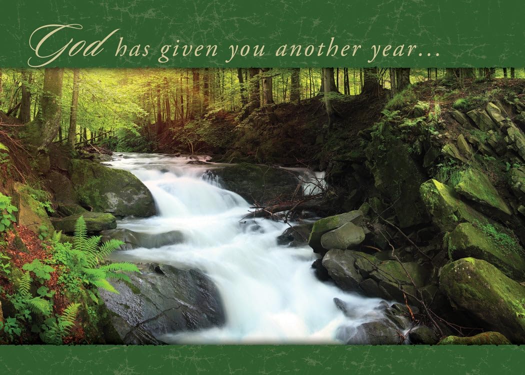 Warner Press Card-Boxed-Faithful Falls Assorted (Pack of 12