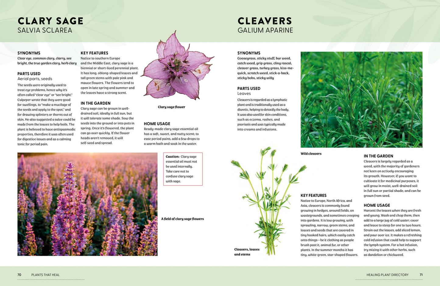 Plants That Heal
