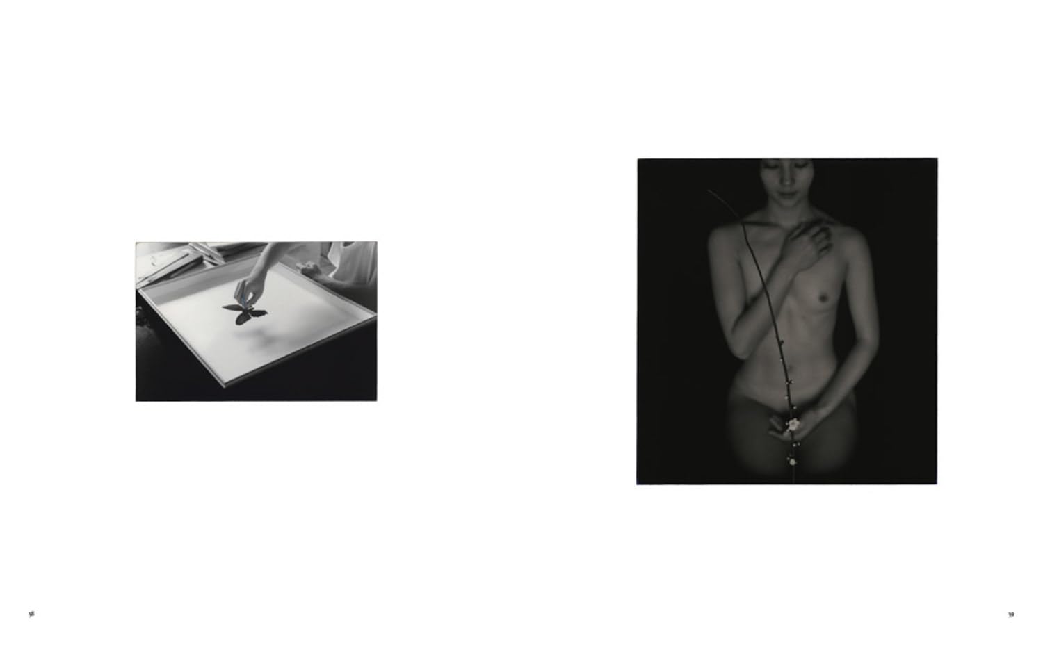 Masao Yamamoto: Small Things in Silence