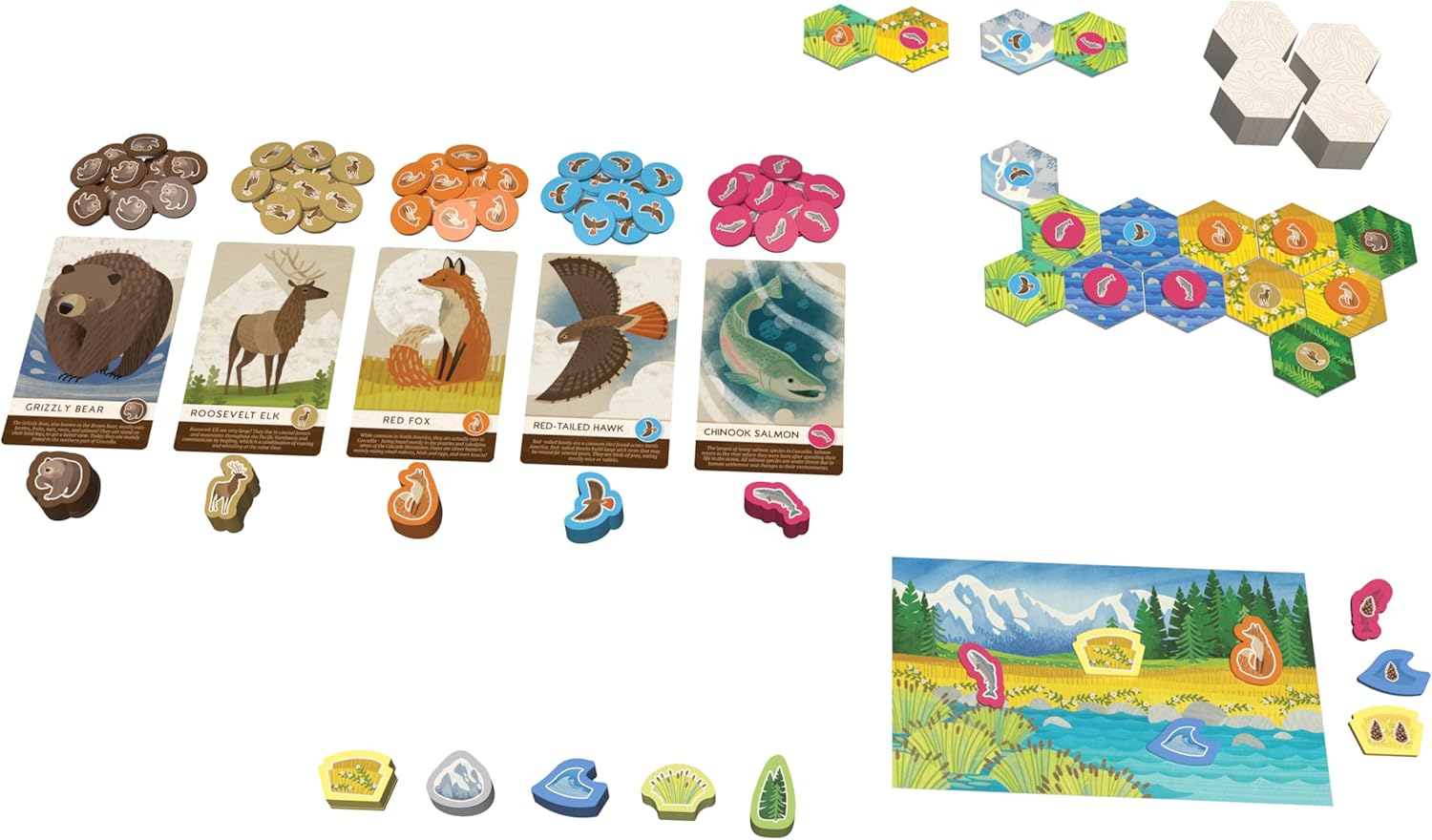 Alderac Entertainment Group | Cascadia Junior Board Game in English for All Family | Strategic Competitive Game for 2-4 Players | Standalone Game For Younger Players To Experience Cascadia