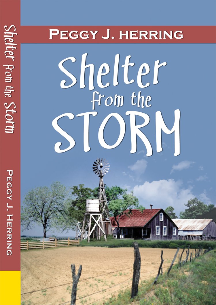 Shelter from the Storm