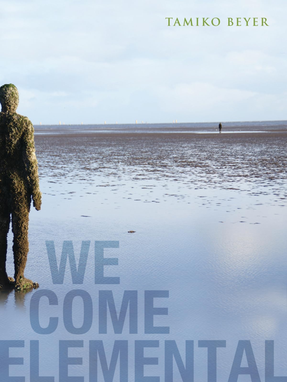 We Come Elemental