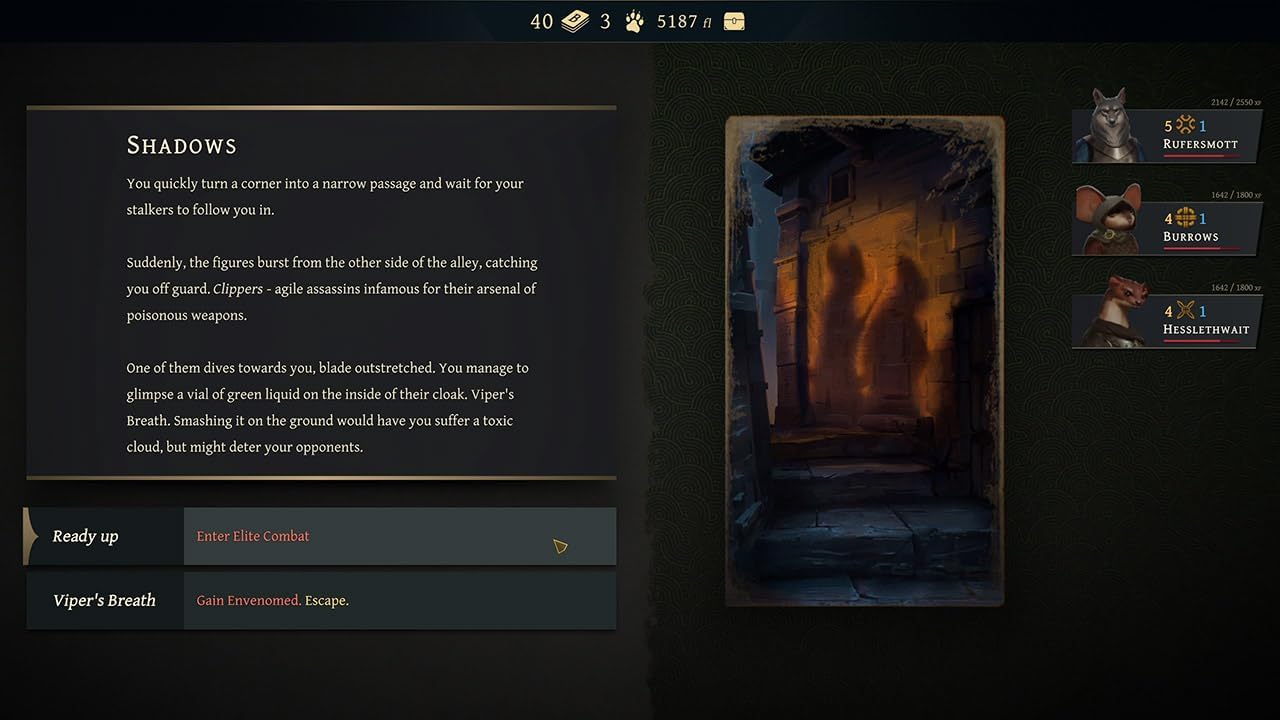 Banners of Ruin Wild Edition (Nintendo Switch)