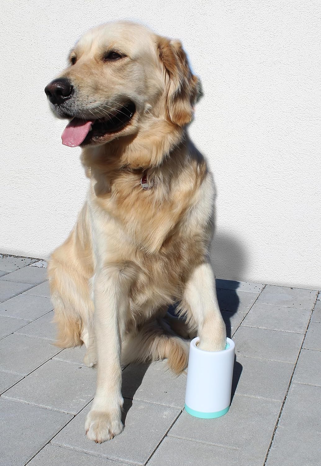 Winkee - Paw Cleaner - Pet Care