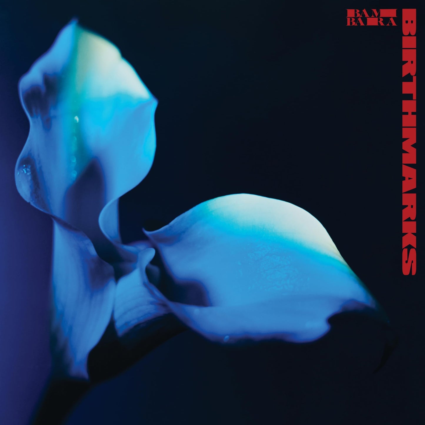 Vinile Bambara - Birthmarks Poster)