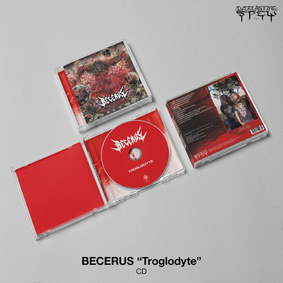 Troglodyte