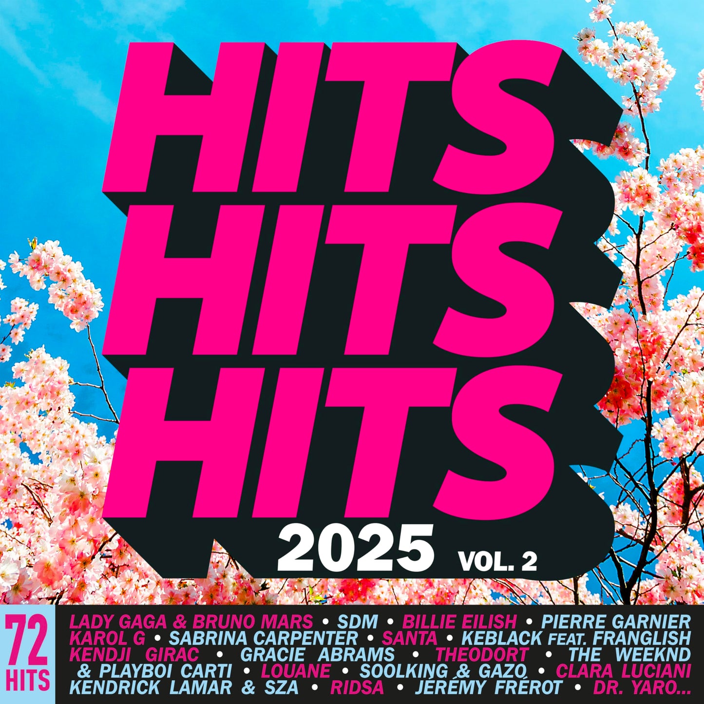 Hits Hits Hits 2025 Vol.2 / Various