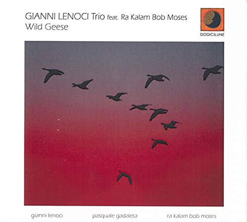 Wild Geese