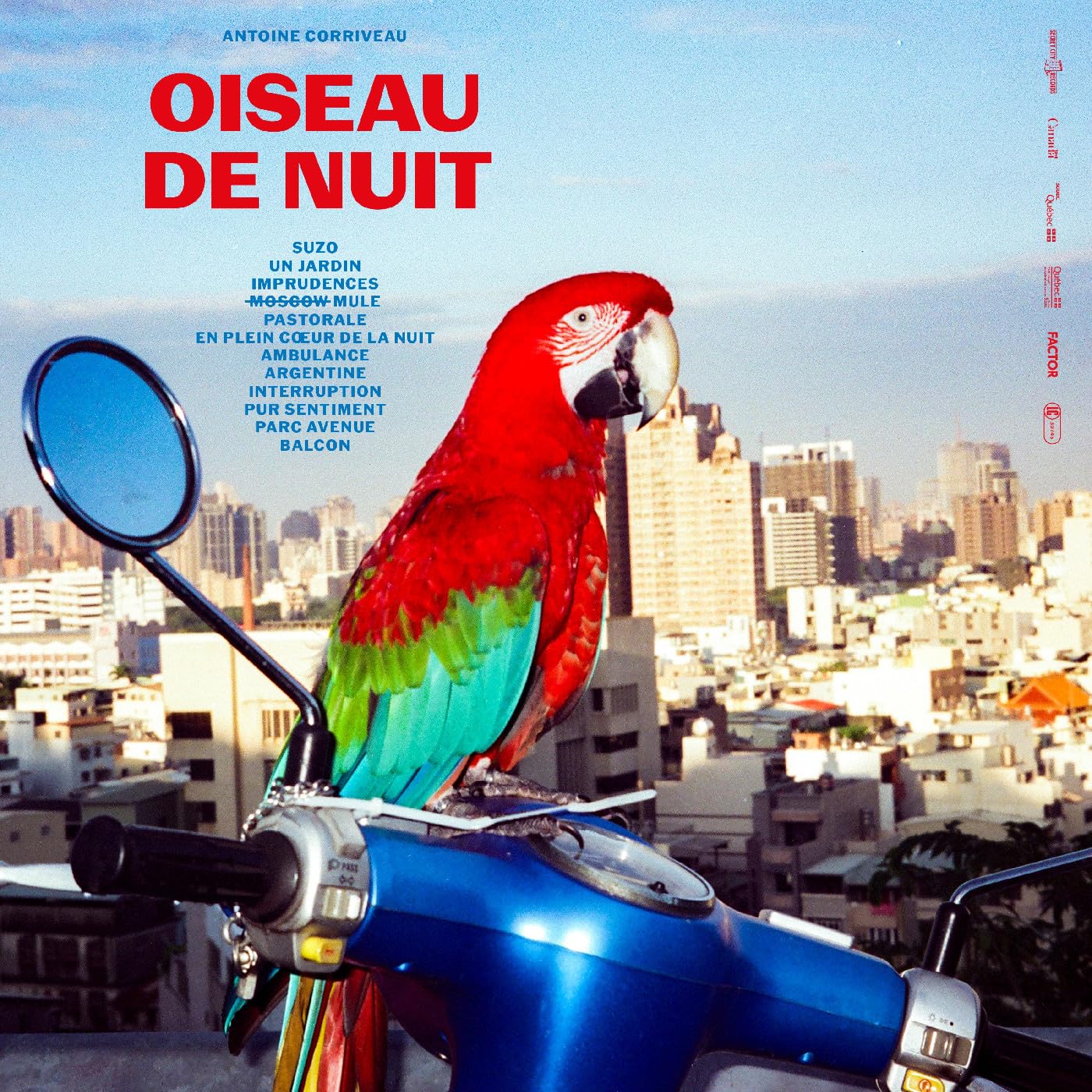 OISEAU DE NUIT