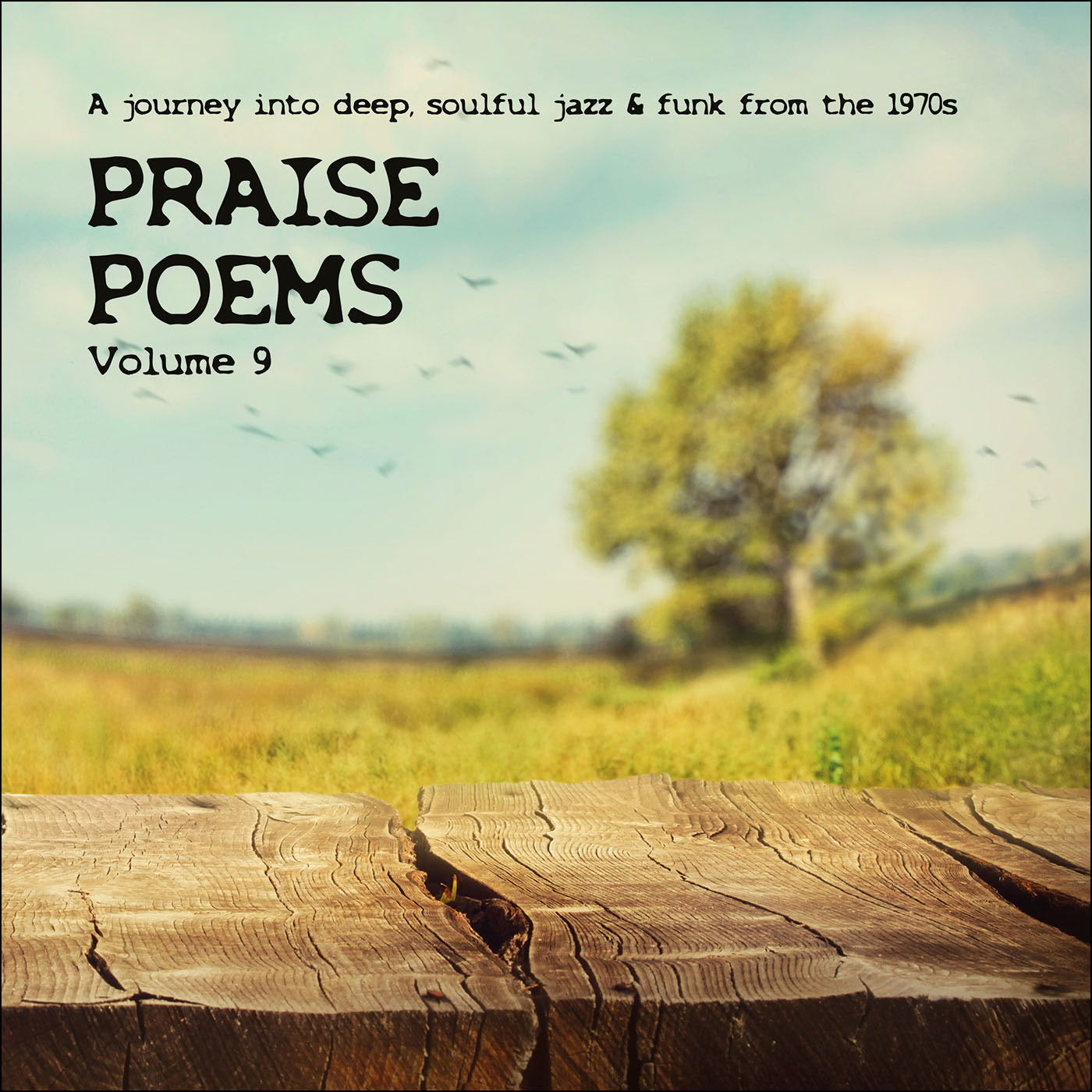 Praise Poems - Volume 9