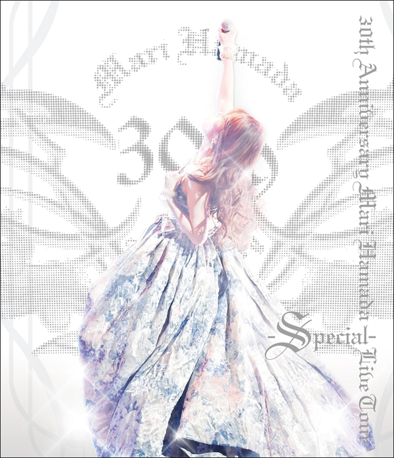 30Th Anniversary Mari Hamada Live Tour -Special-