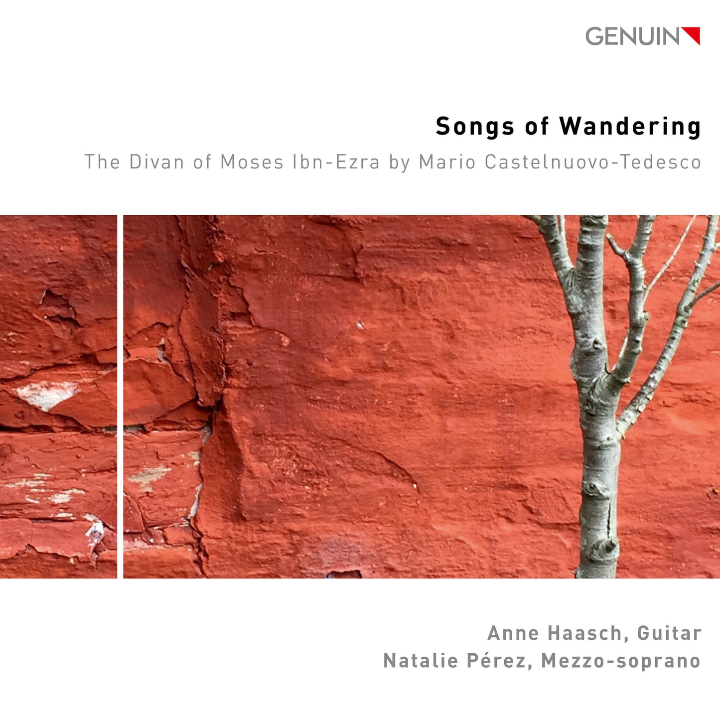 Songs of Wandering: The Divan of Moses Ibn-Ezra By Mario Castelnuovo-Tedesco