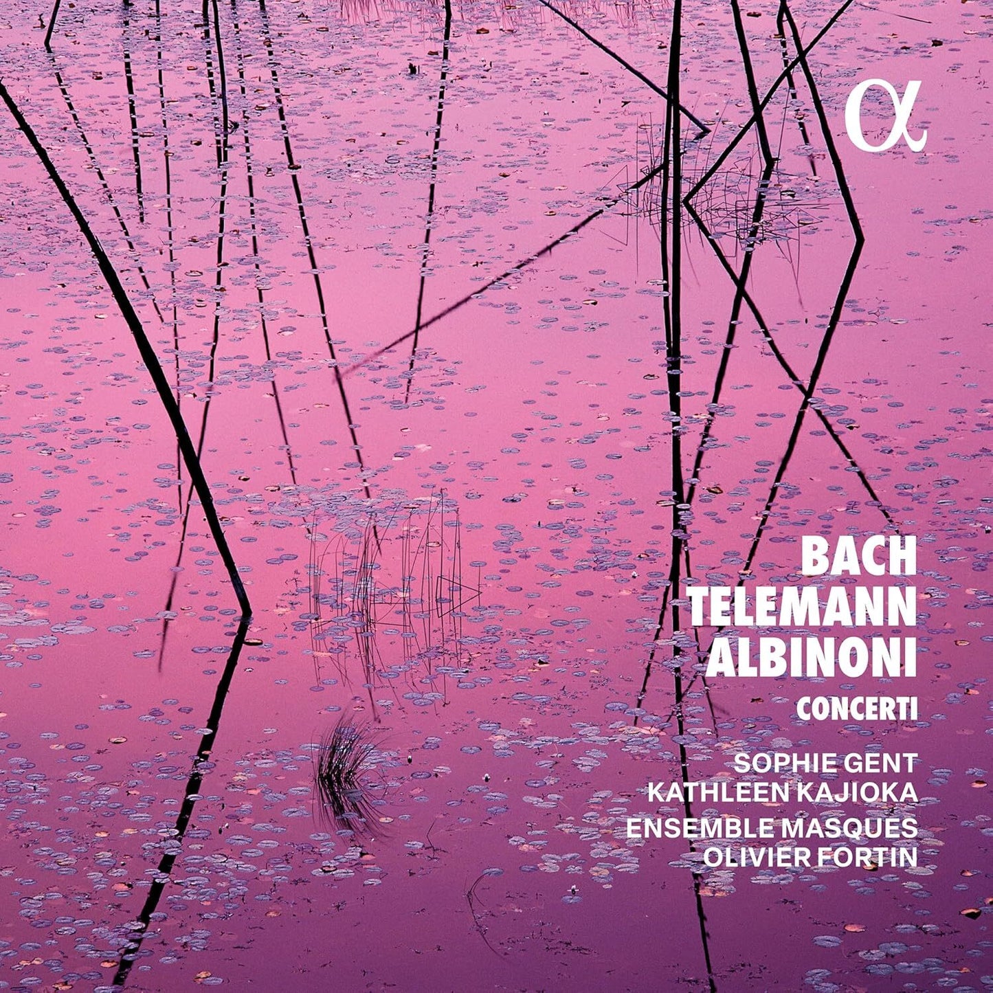 Bach/Telemann/Albinoni: Concerti