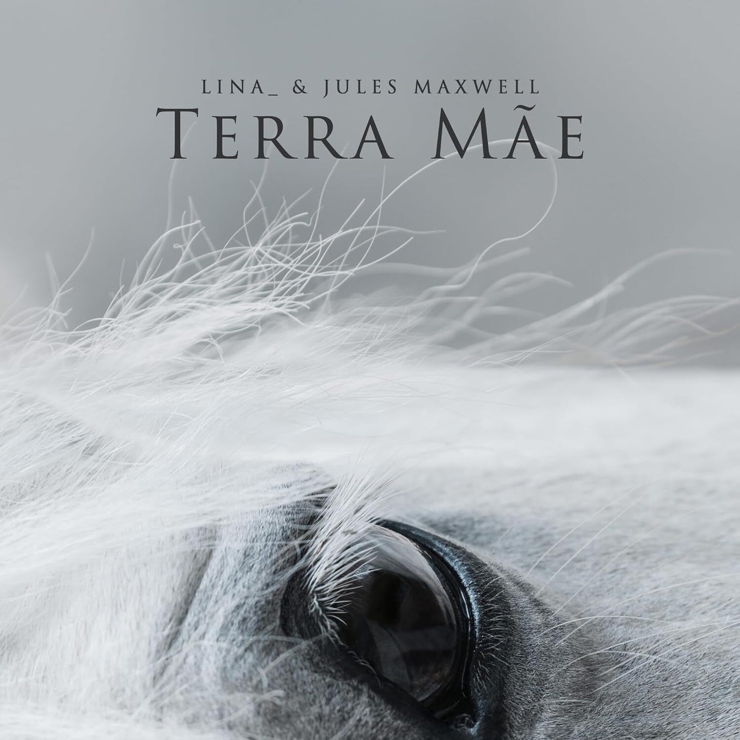 Terra Mae