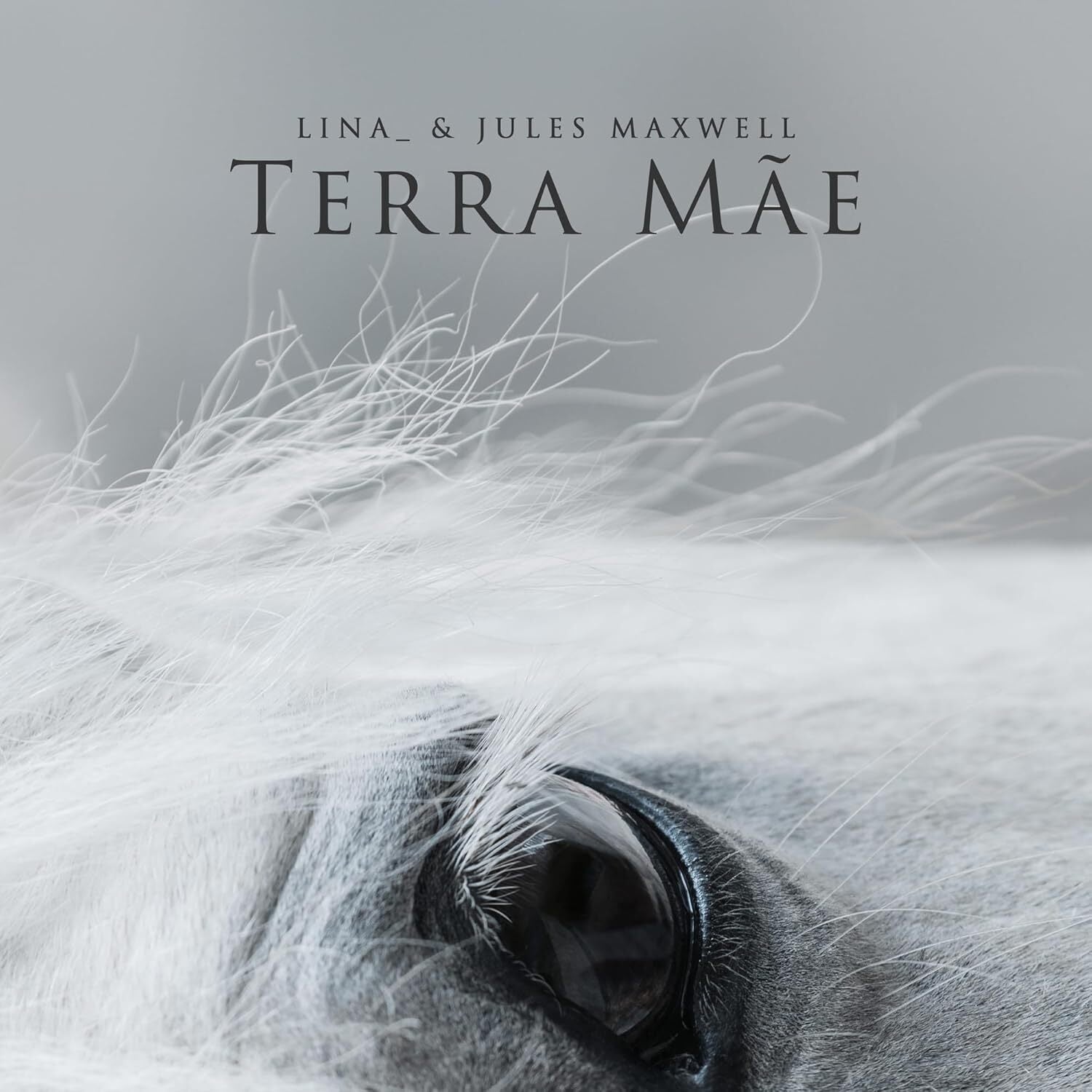 Terra Mae