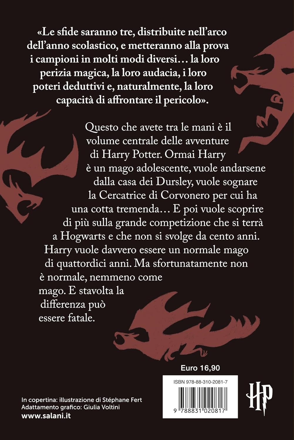 Harry Potter e il calice di fuoco