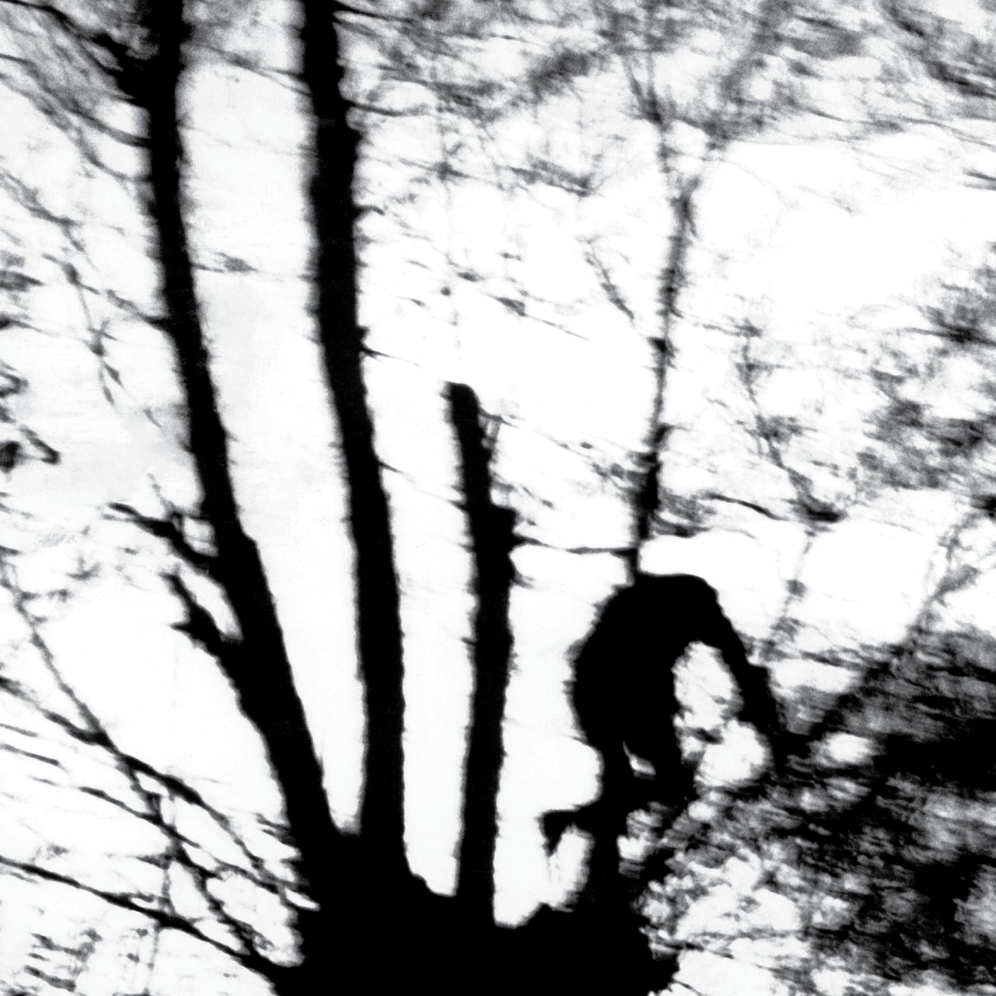 Camouflage Heart