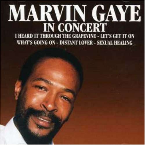 Marvin Gaye in Concert