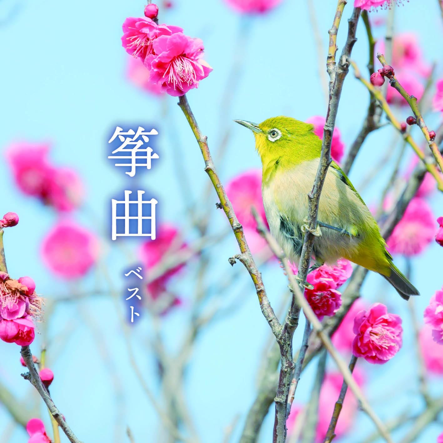 筝曲 ベスト キング・ベスト・セレクト・ライブラリー2025