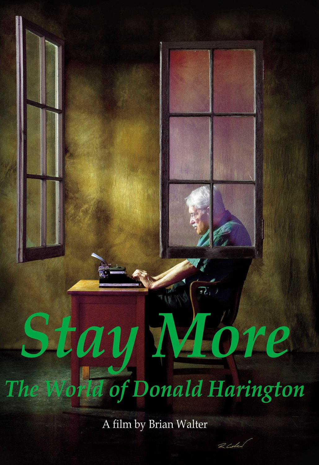 Stay More: The World of Donald Harington