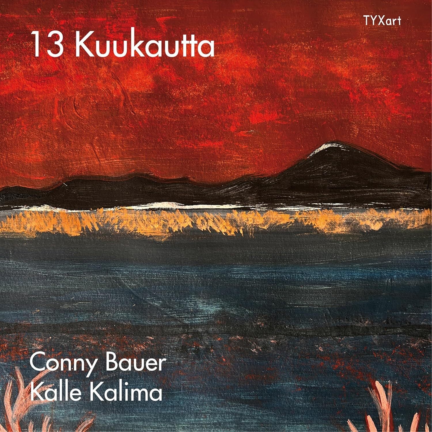 13 Kuukautta