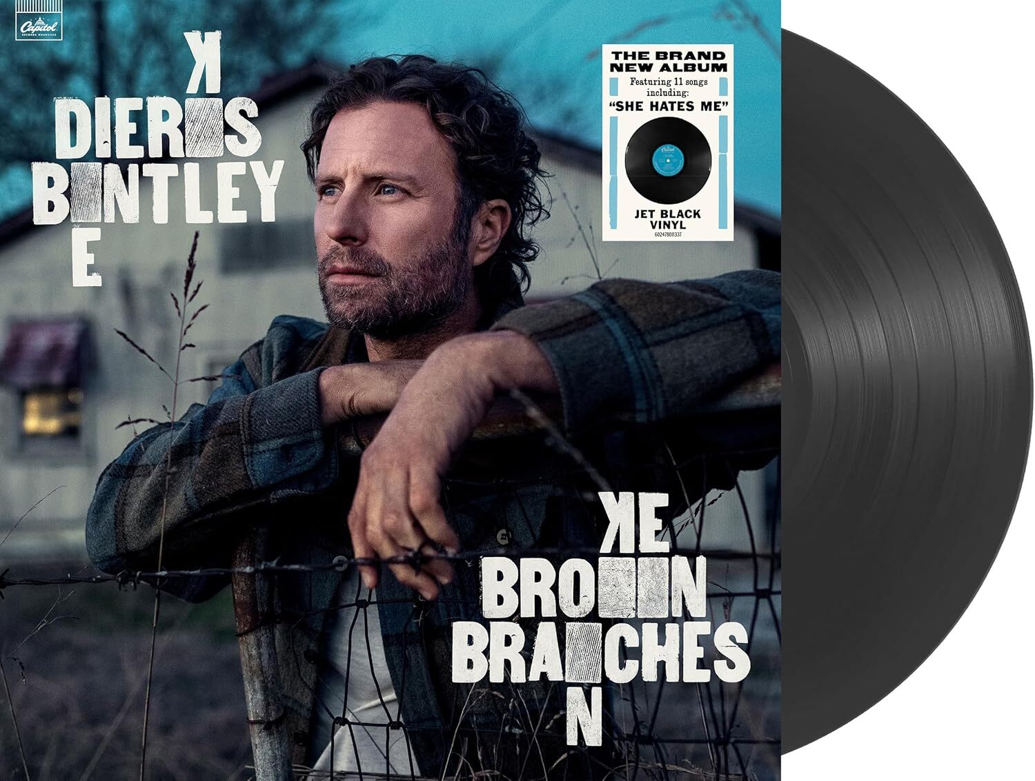 Broken Branches