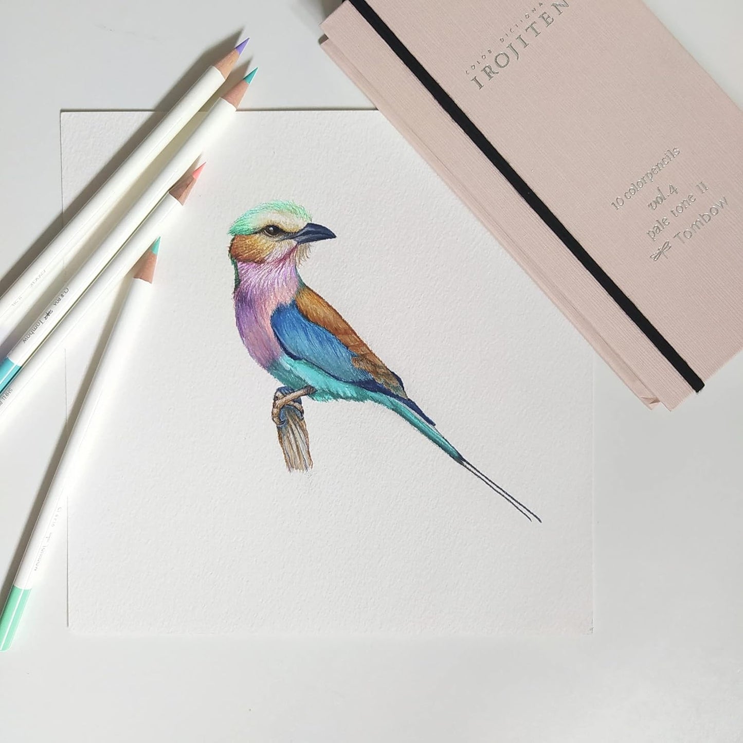 Tombow coloured pencil asparagus, wax-based lead with high colour brilliance, artist's colour pencil for professional artists an beginners